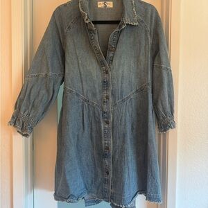 We The Free Denim Mini Dress